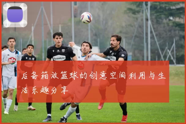 后备箱放篮球的创意空间利用与生活乐趣分享