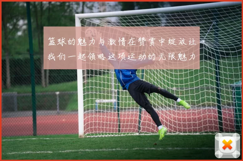 篮球的魅力与激情在赞赏中绽放让我们一起领略这项运动的无限魅力与团队精神