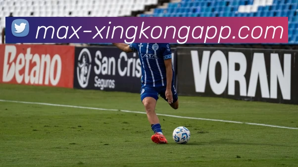 星空体育平台生态图