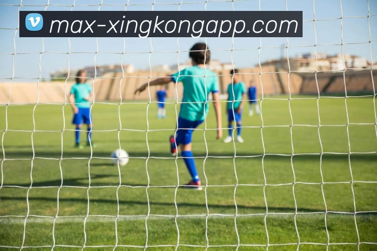 星空体育APP 封面图